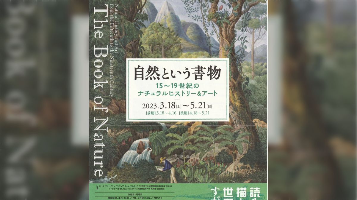 自然という書物展＠町田市立国際版画美術館 - Togetter [トゥギャッター]