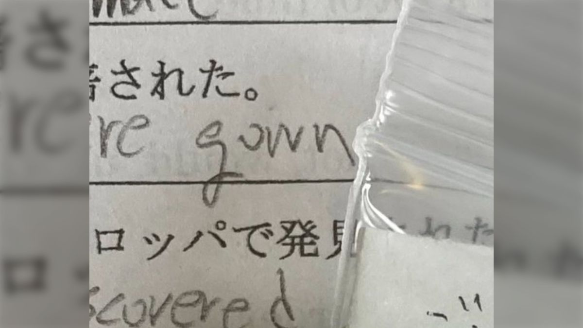 ごろた様✶⋆確認用ページ コメントカード メッセージカード