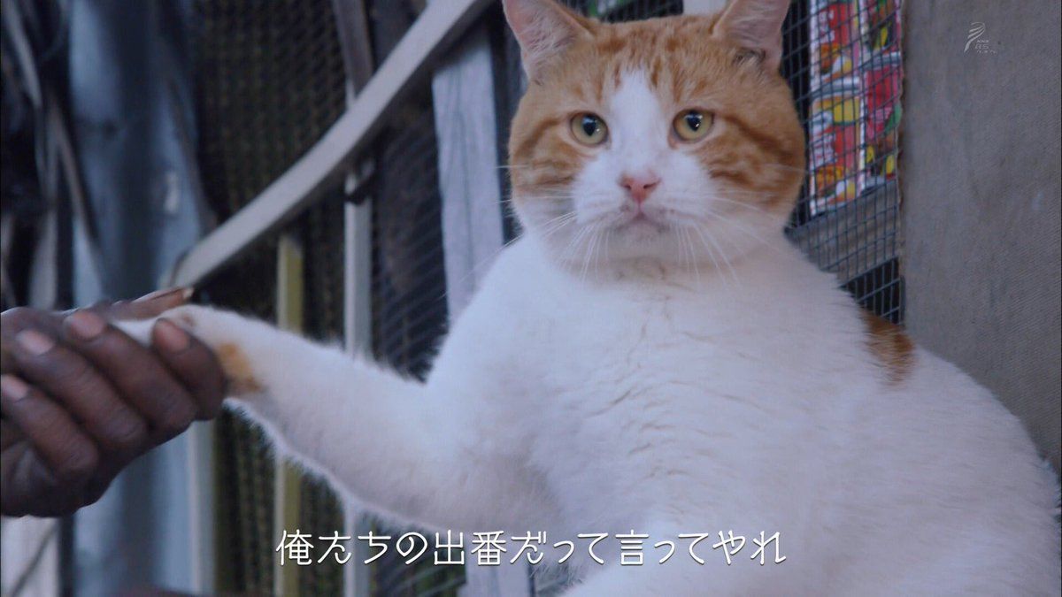 修学旅行　中学生　風呂盗撮 gif 北村 圭吾 (@kg_kitamura) • Instagram photos and videos