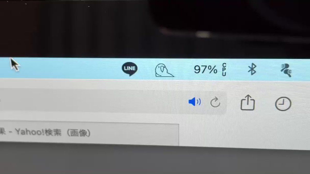 未使用！ Parrot パロット 177061-2.jpg