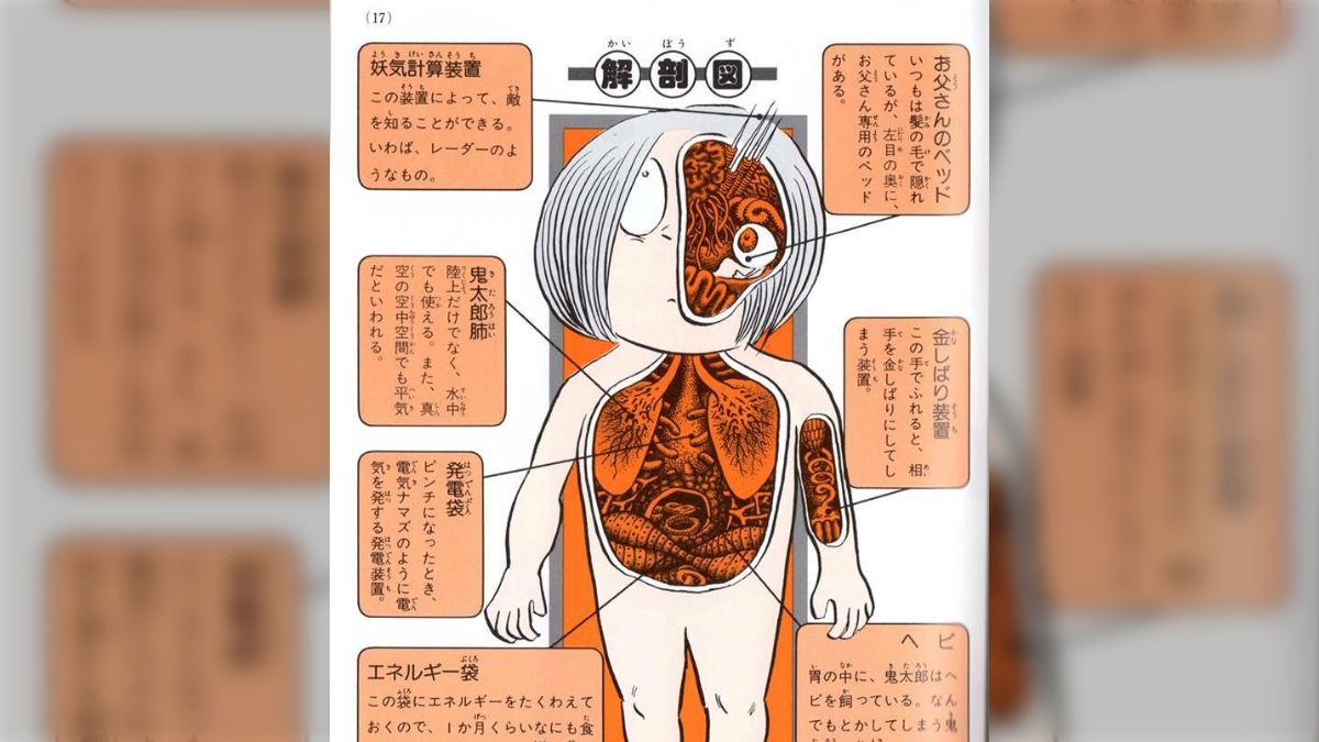 図説みんなの体操まとめ売り13冊