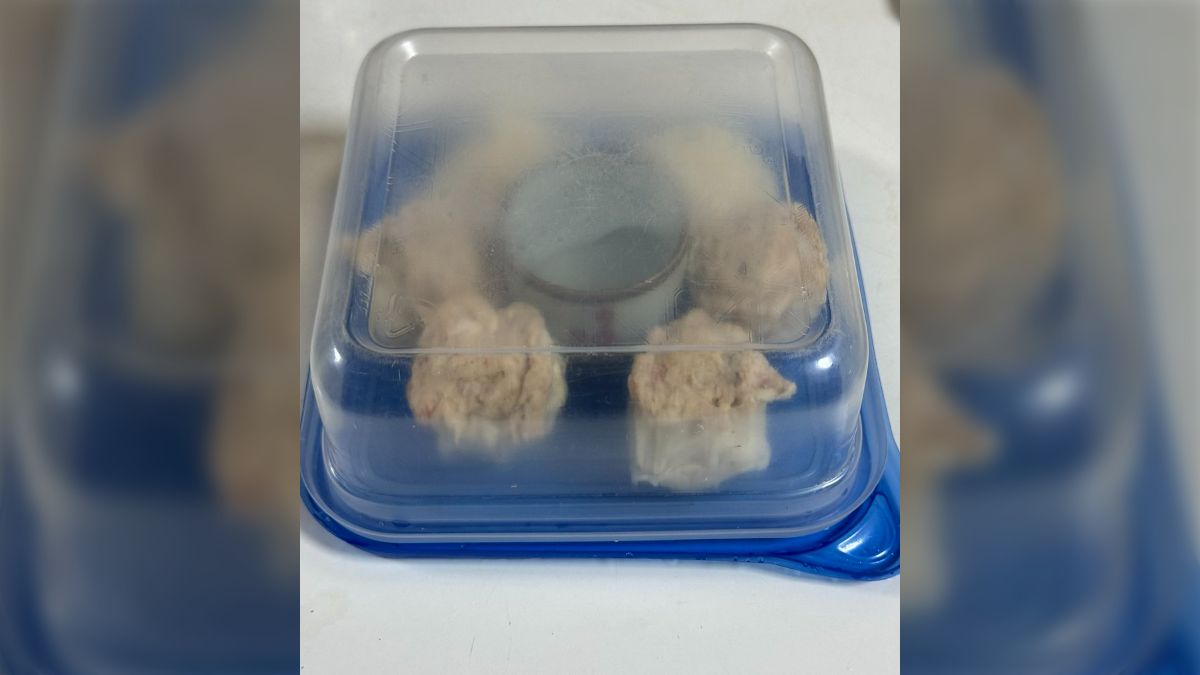 チルド焼売とかをちょっと食べたいけど、蒸し器はない…そんな時