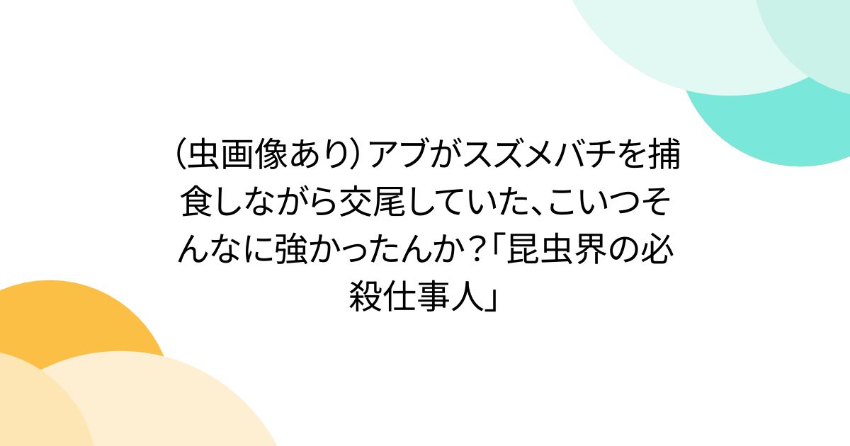 （虫画像あり）アブがスズメバチを捕食しながら交尾していた、こいつそんなに強かったんか？「昆虫界の必殺仕事人」