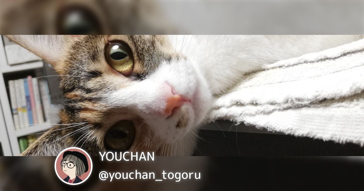 Youchan YOUCHAN(@youchan_togoru)のまとめ - posfie