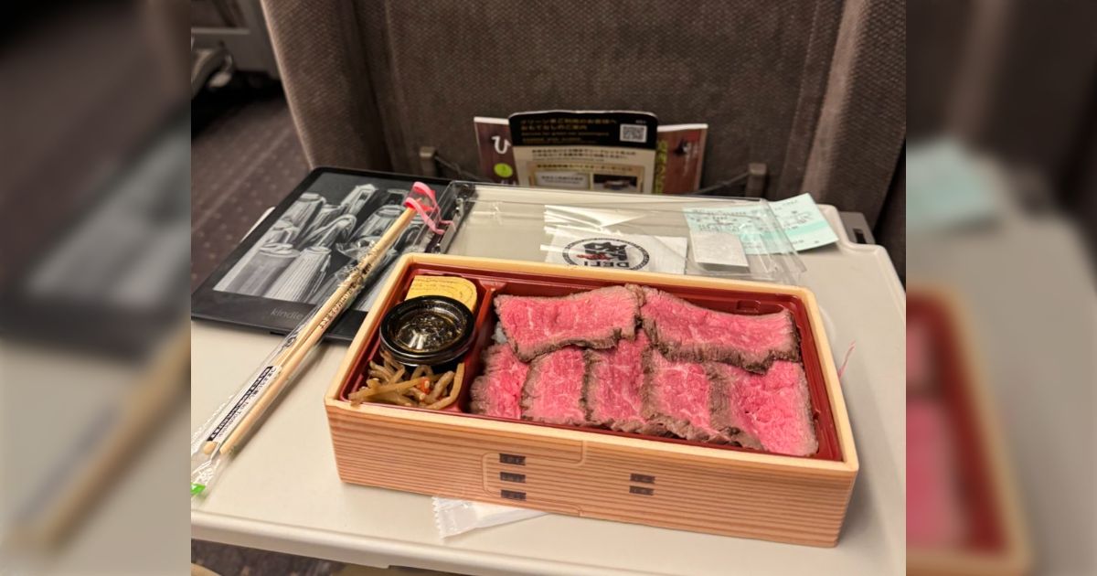 新幹線は富士山を通りすぎた。通路の向こうには2本目のビールを楽しむサラリーマンがいる。私は弁当箱をがっつく。大音量で音楽をかける乗客はいない