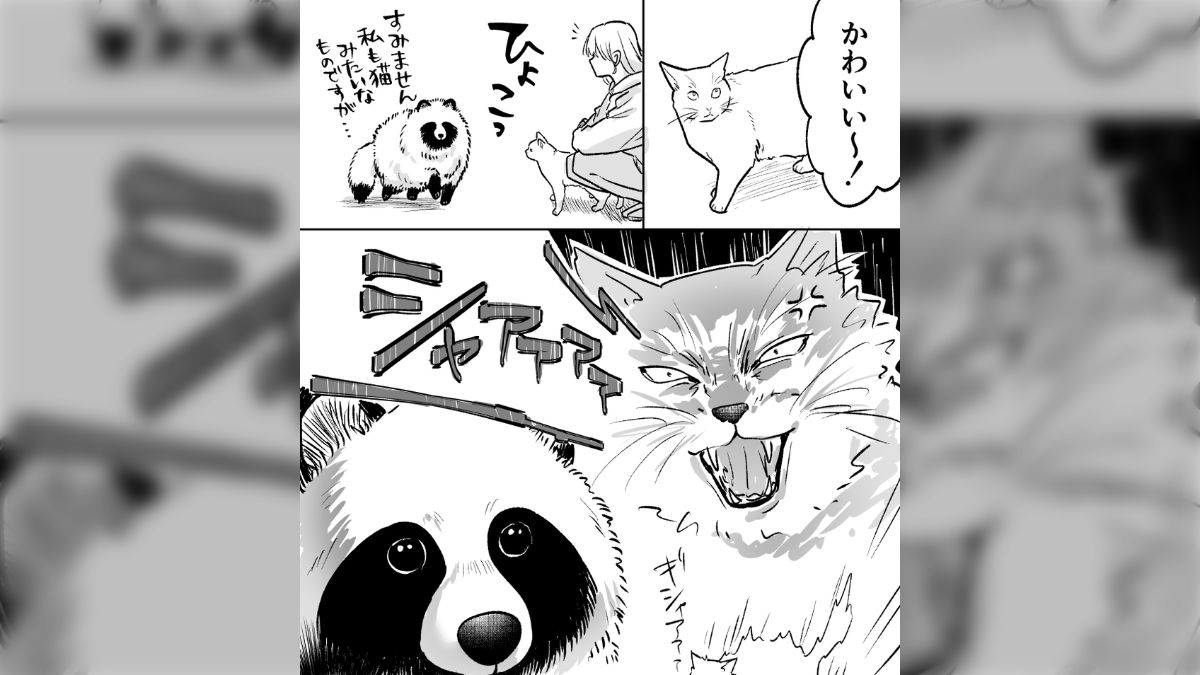 野良猫を見つけて「かわいい〜！」と喋りかけてたら、横から 