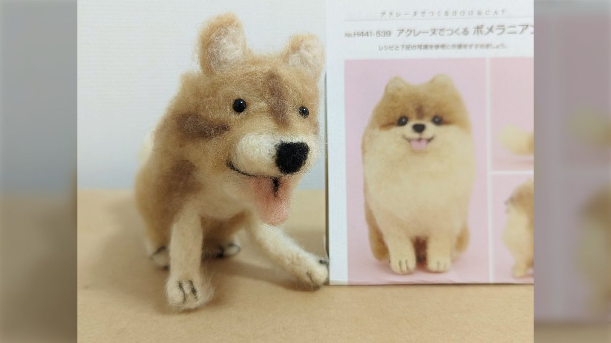 羊毛フェルトキットでポメラニアンを作ったら野犬が誕生した - Togetter [トゥギャッター]