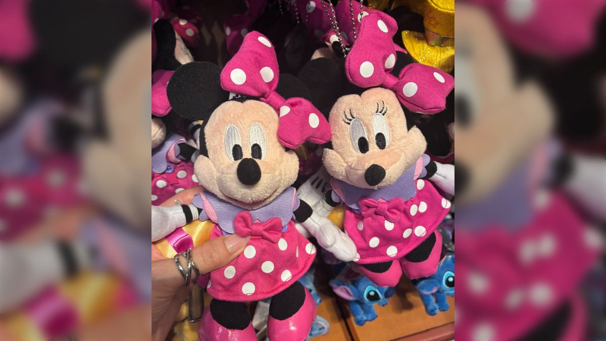 ディズニーですごいエラー品見つけた「これはミッニー」「えっ