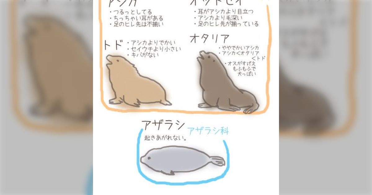 todoちゃん様 todoちゃん様