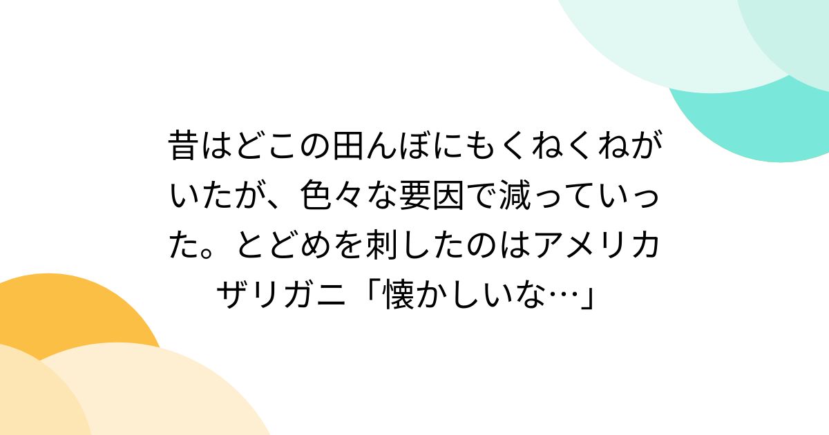 昔はどこの田んぼにもくねくねがいたが、色々な要因で減っていった。とどめを刺したのはアメリカザリガニ「懐かしいな…」 Togetter