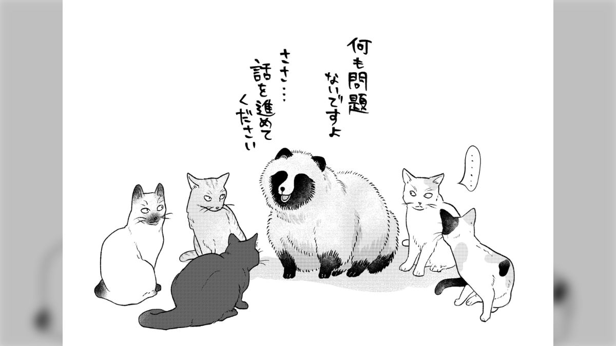空き地に猫が数匹集まっていたので「猫会議かな〜？」と思ってみてみる 