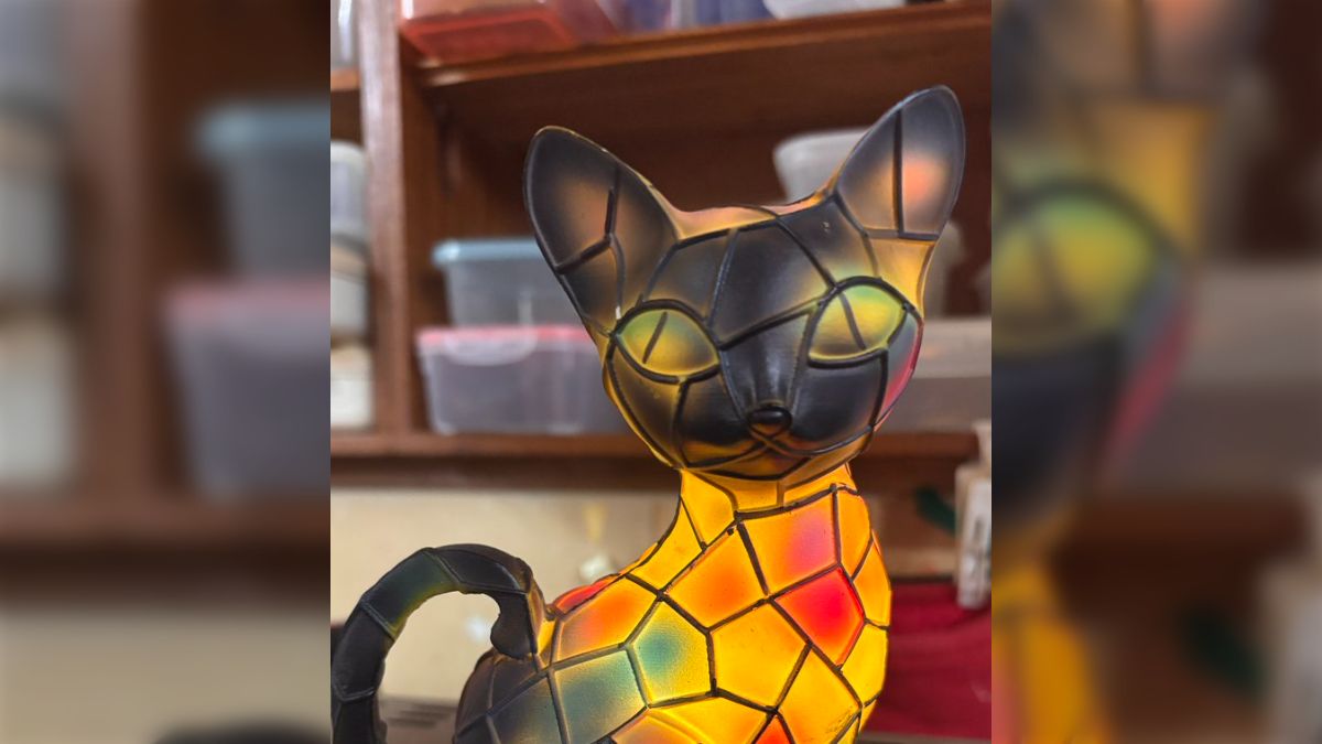 Amazonで購入した猫のLEDランプが届いたけど随分姿が違った話