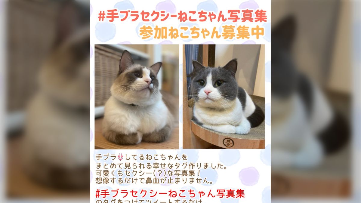 3fe763c8dd505f8887513134928613