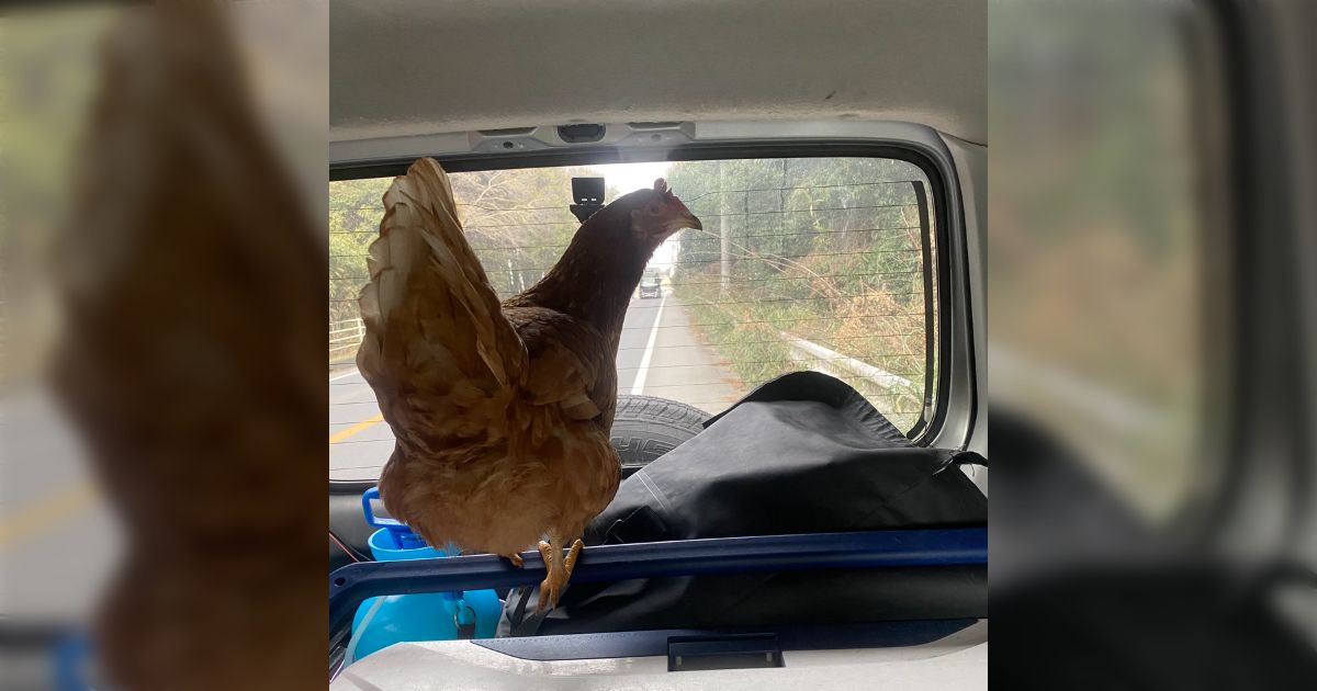 釣りに行く途中でまさかの拾い物をした、「犬や猫ならまだしも拾うことあるんだ」と驚き