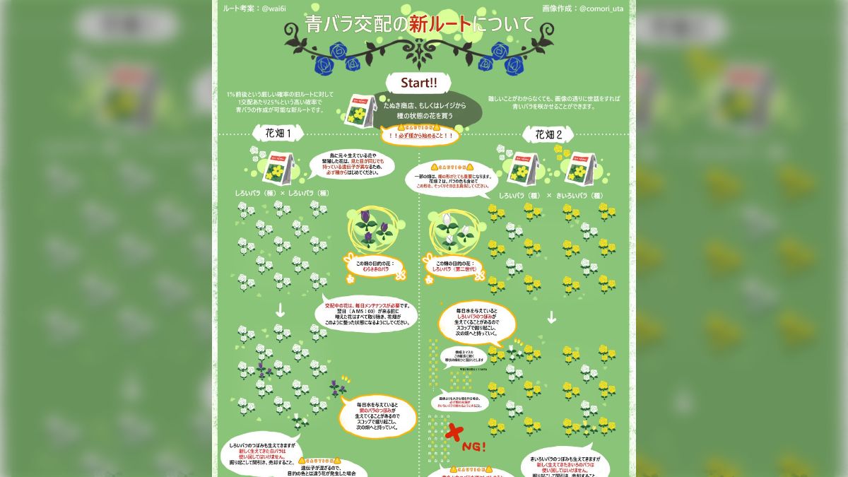 森レア、まとめorバラで！ 000000040163-01-l.jpg?t=