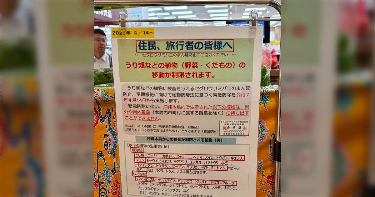 ウリミバエ防除検査合格品〉沖縄県産 パッションフルーツ約3.2kg