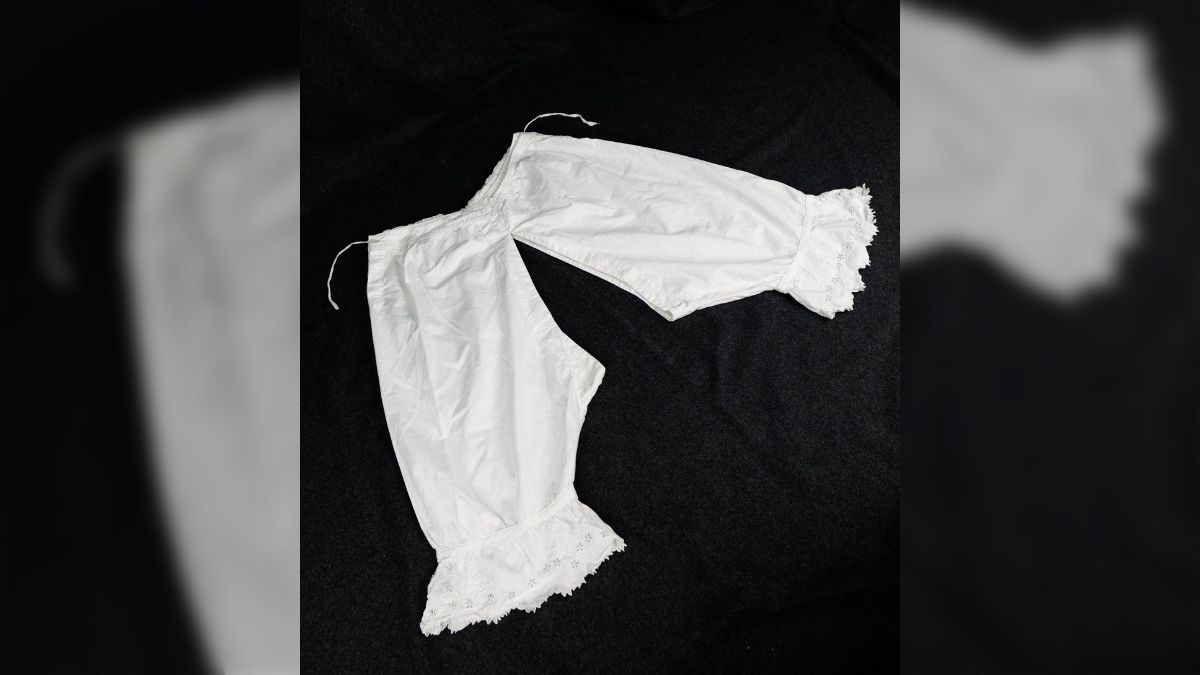 汚物箱　パンティ 