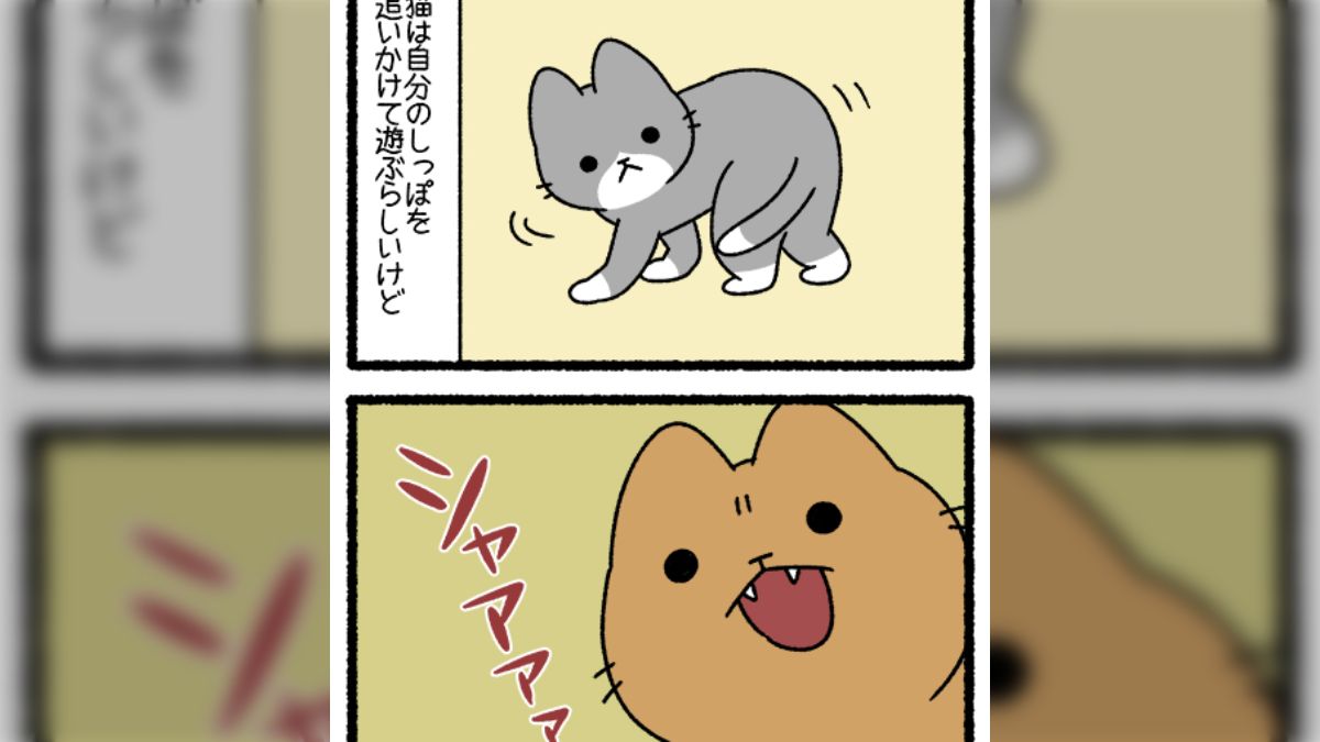 ねこようかい (バンブーコミックス 4コマセレクション) | ぱんだ