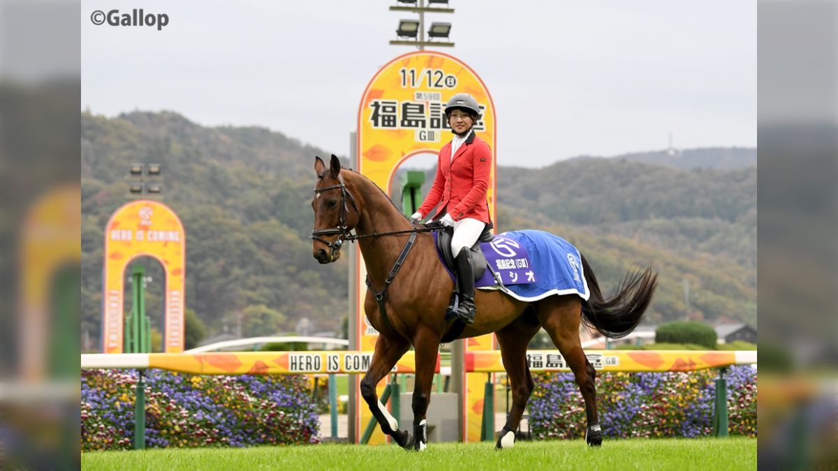 ヨシオ（福島競馬場誘導馬）デビュー戦現地馬券 ありがとうヨシオ｜さめはん
