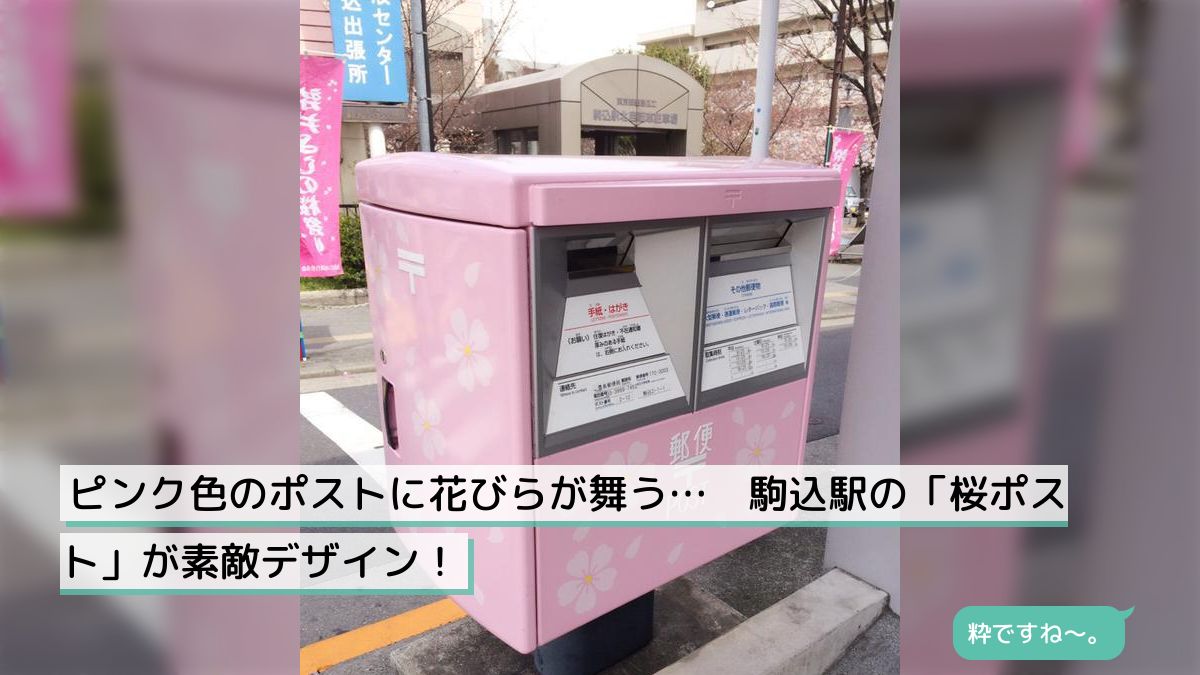 柴桜濃いピンクとニゲラ　ポスト投函いっぱい Amazon.co.jp: 宅配＆ポスト桜(ピンク） : 文房具・オフィス用品