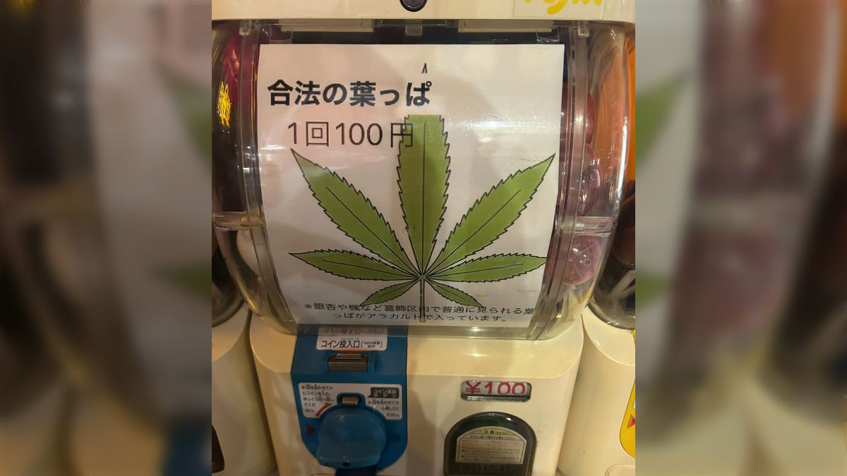 詐欺られた...」”合法の葉っぱ”と書かれた1回100円の謎ガチャ、回してみたら本当にただの葉っぱが入っていて...→「ちゃんと書いてあるのに何で回したくなるんだろう」  (2ページ目) - Togetter