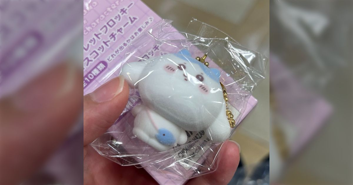 ちいかわとサンリオコラボのグッズを買ったらエラー品だった
