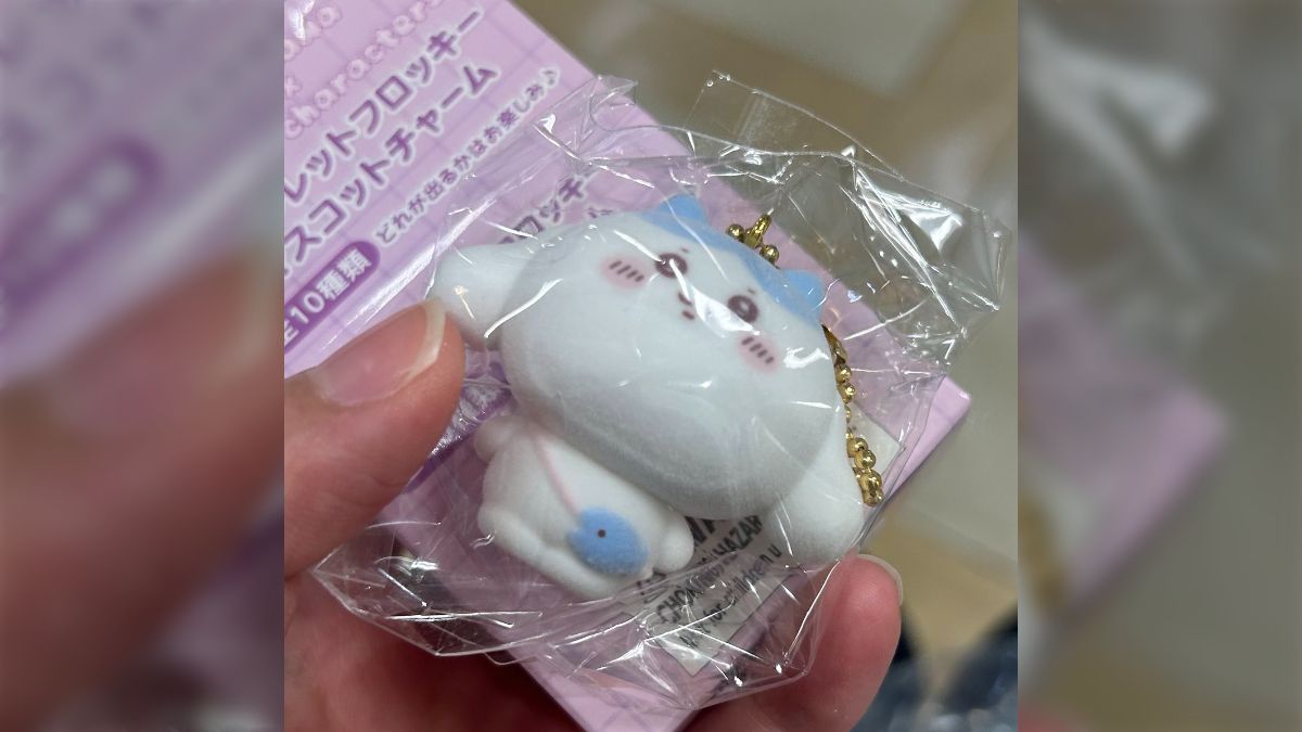 ちいかわとサンリオコラボのグッズを買ったらエラー品だった