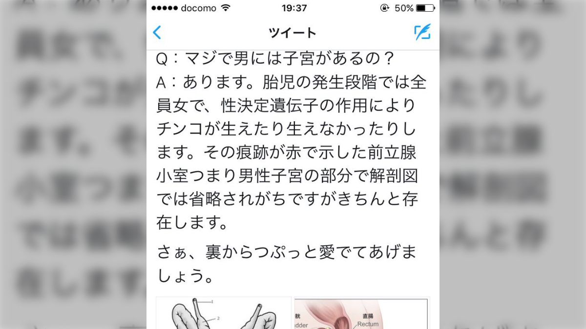 男の娘 尿道 画像 