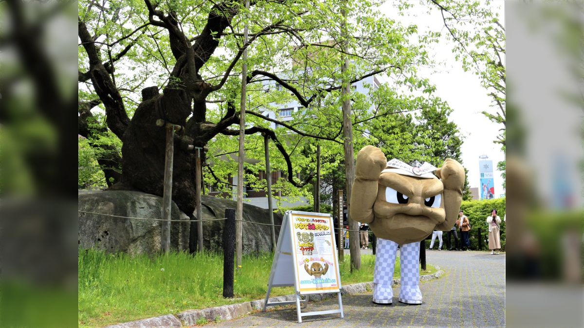 岩手県の応援ポケモンに任命されたイシツブテさん、まったく見えない 