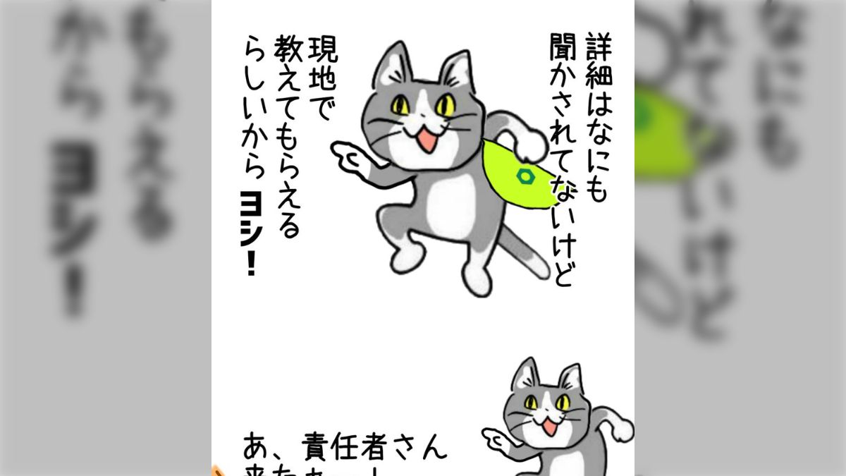 現場猫
