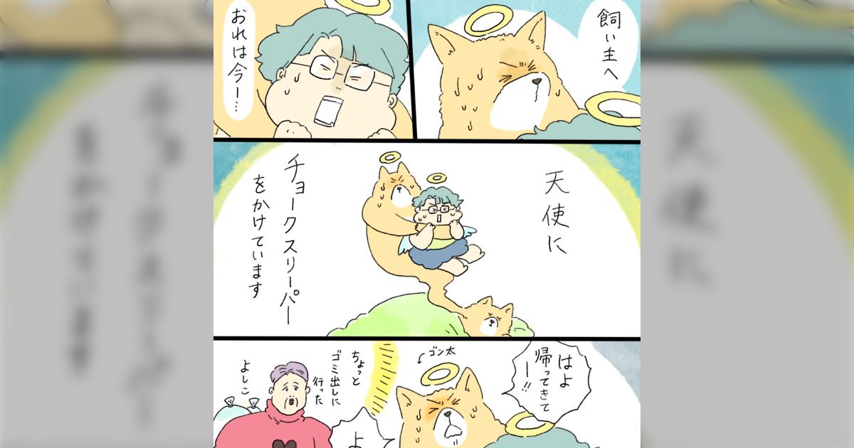 ゴンタ様専用❤️ 【公式通販】 よかけん様専用ページ