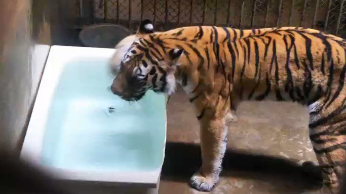 ドラえもんのび太 しずかの裸 