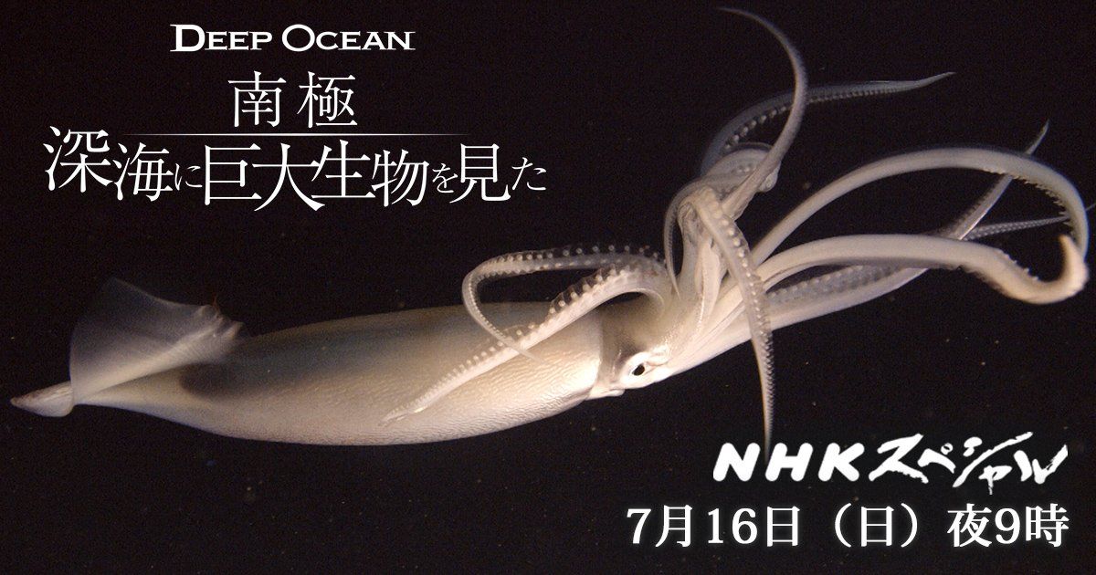 (未使用･未開封品)NHKスペシャル ディープ オーシャン 南極 深海に巨大生物を見た [DVD] Amazon.co.jp: NHKスペシャル ディープ オーシャン 南極 深海に