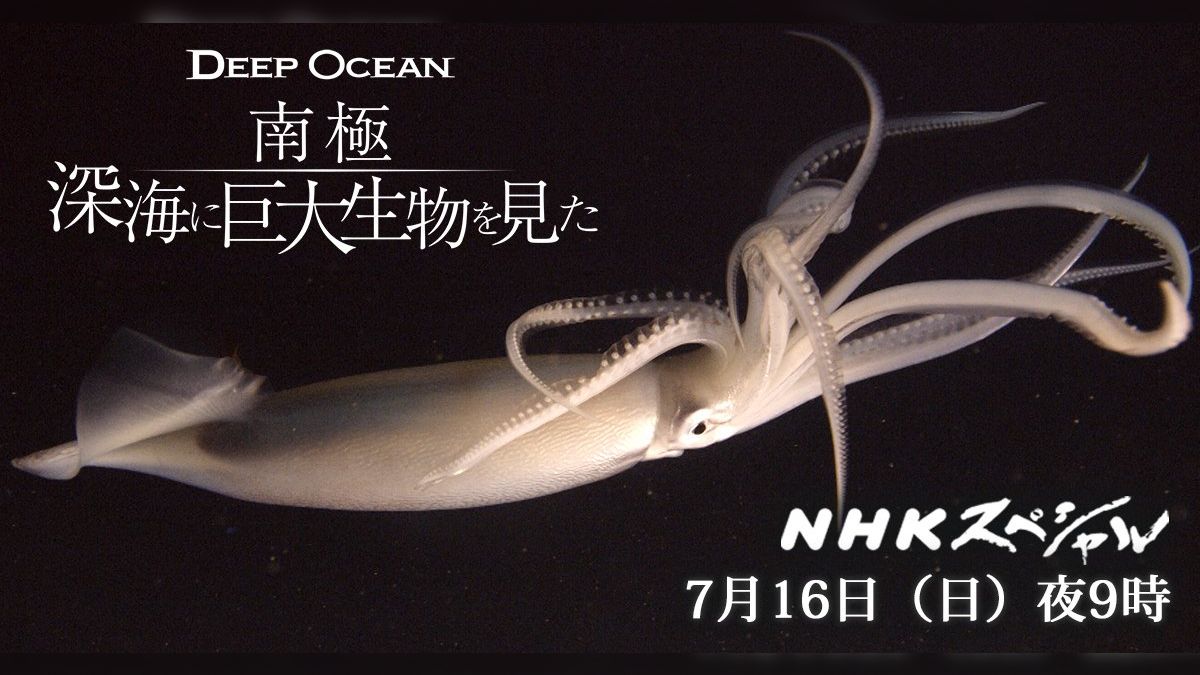 中古】 NHKスペシャル ディープ オーシャン 南極 深海に巨大生物を見た  