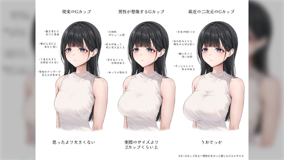 カップ 数 見た目