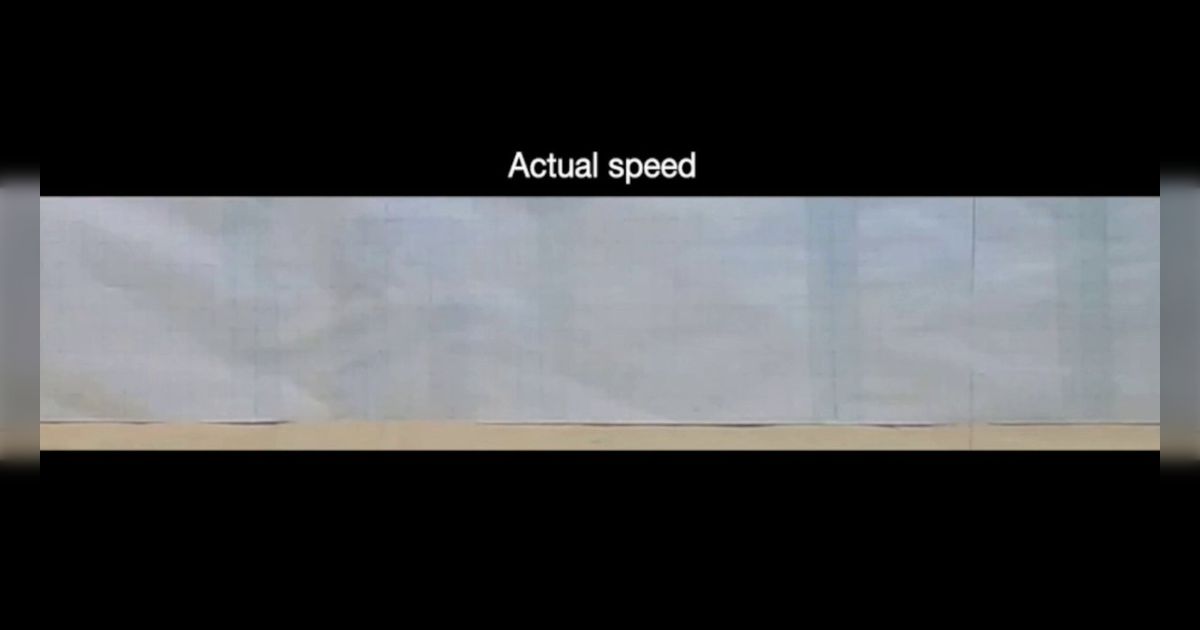 （ヘビ注意）「高速で転がって逃げるヘビの逃避行動」論文の共同筆頭著者が投稿した動画が予想を超えてきて吹き出す「伝承で見た！」