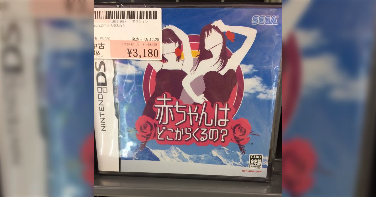 中古のDSソフトを漁っていたら絶対にタイトルにしちゃいけないタイトル 