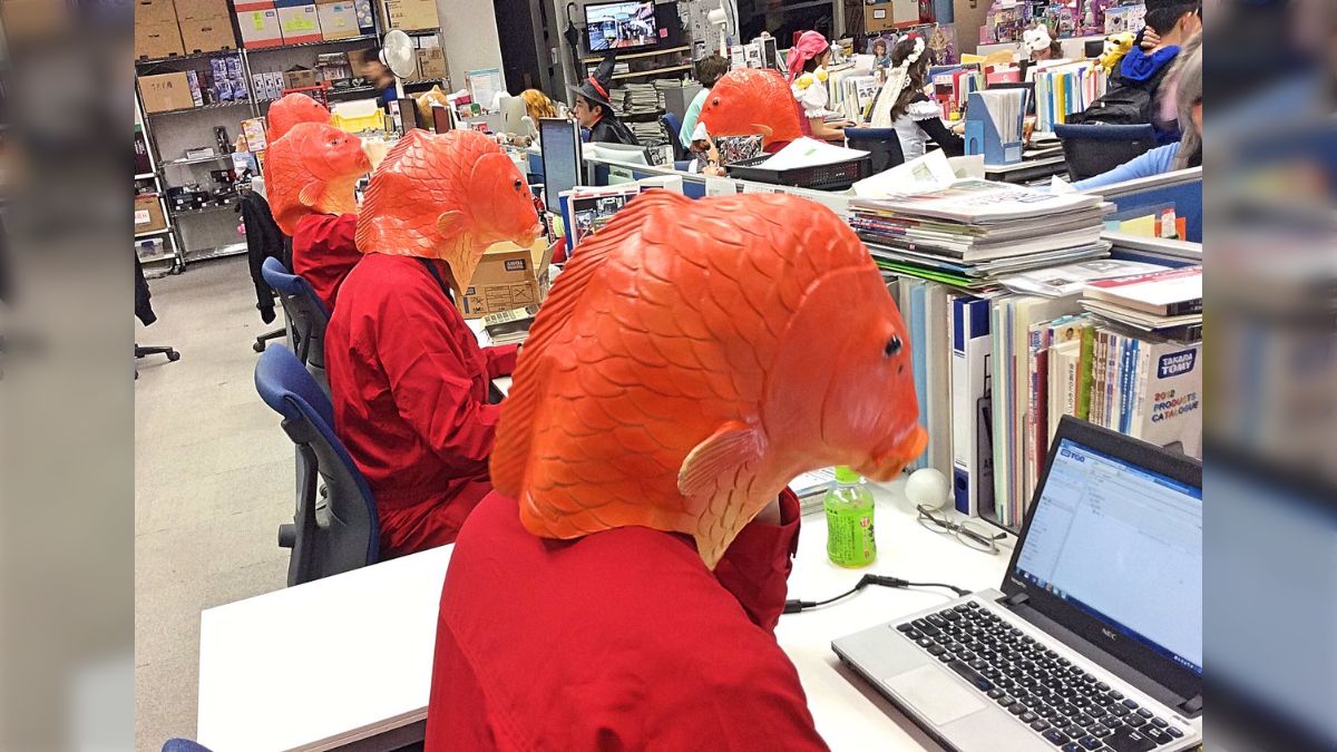 タカラトミーで大量のコイ発生！社長も社員も仮装してお仕事する タカラトミーハロウィンデー 2016年の様子 - Togetter [トゥギャッター]