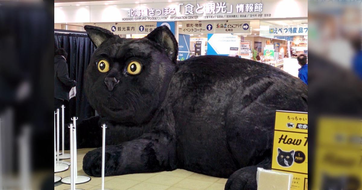絶対ウケる(^^) 黒ねこ　巨大マスク Amazon.co.jp: Fivean 可動口猫マスク フルヘッド 毛皮のような動物
