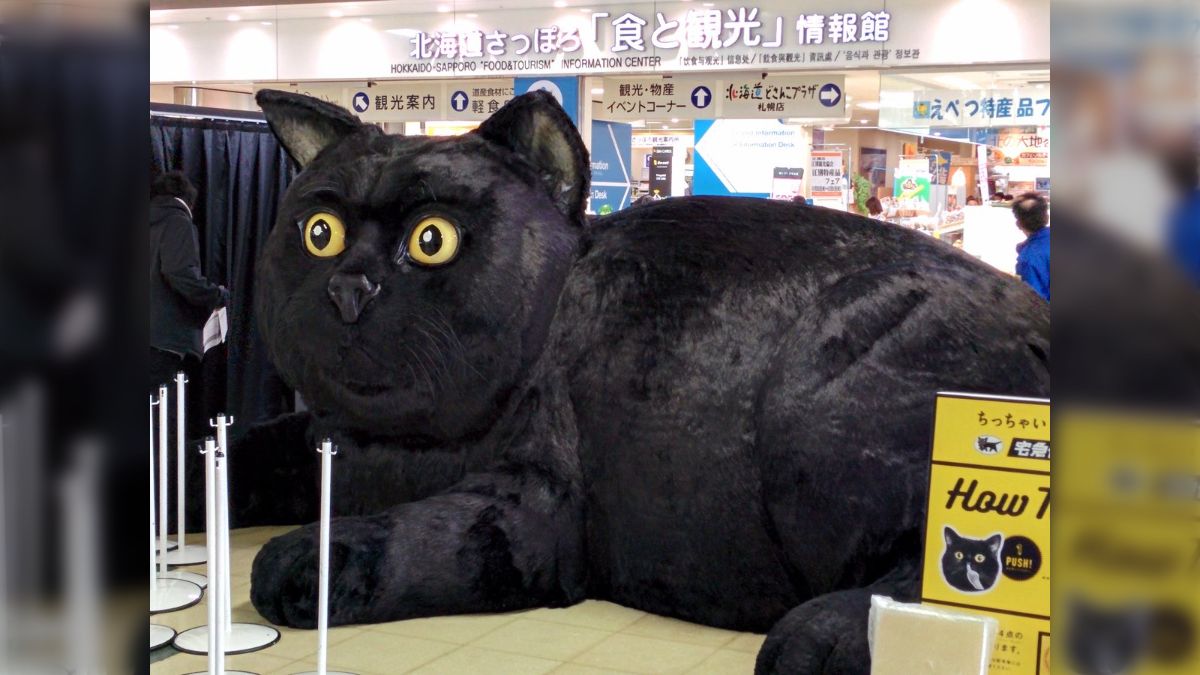羽田の物流施設『クロノゲート』にクロネコヤマトの巨大な黒猫さんが居 