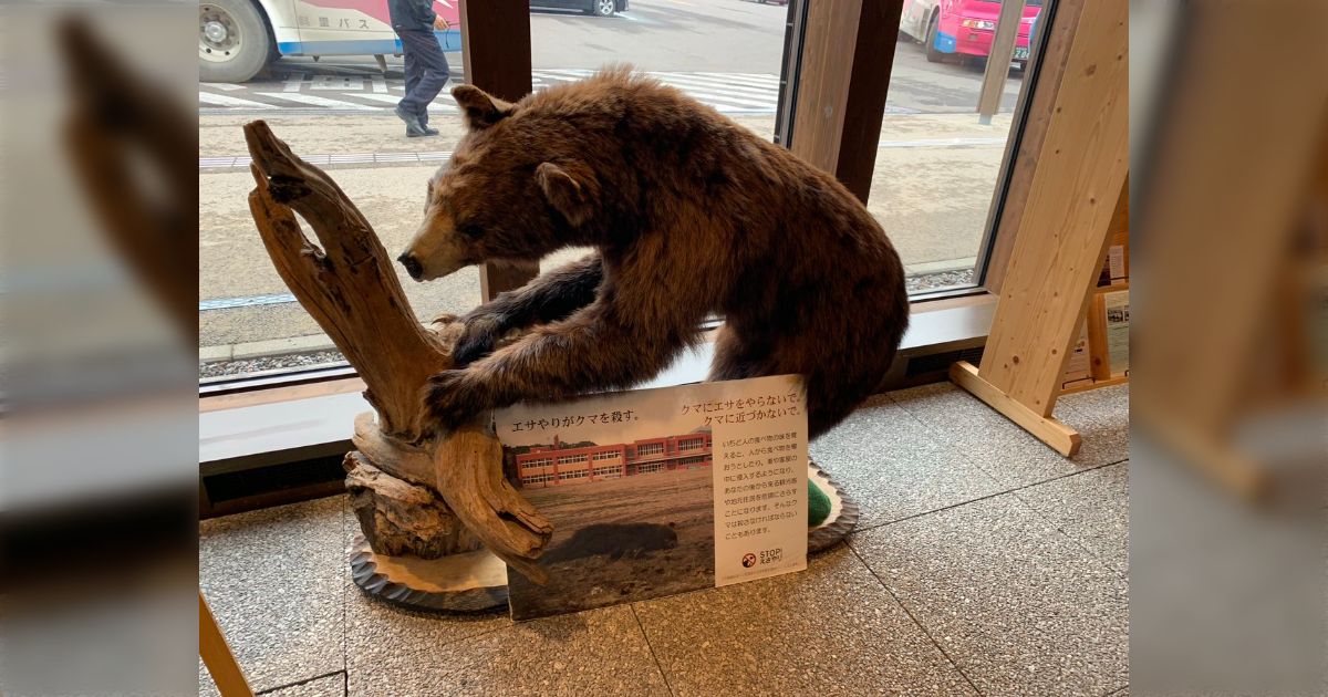 魚を咥えたヒグマ像／北海道の知床・ウトロの土産店にて購入した物です。 魚を咥えたヒグマ像／北海道の知床・ウトロの土産店にて購入