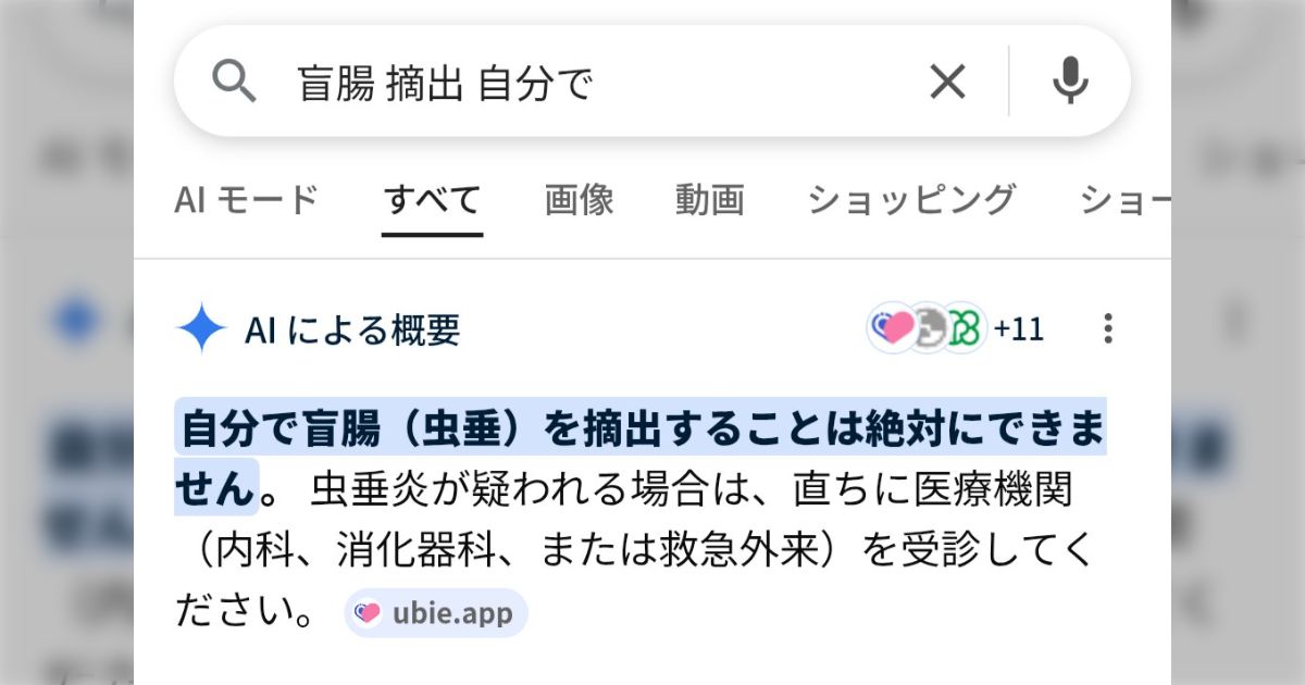 ありえない事を検索をすると AI が必死に止めてきて面白い「案外優しい」「これハマりそう」いろいろ試してみる人々