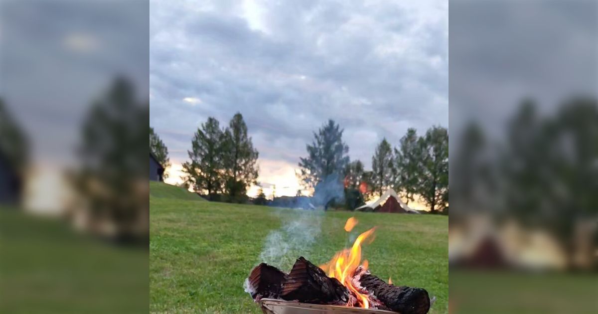 男がBBQで率先して火を起こすとき、そんなに複雑なことは考えていない「火、起こす、楽しい、ウホホ」であり、早く肉を食いたい「女だけどこっち側だ」