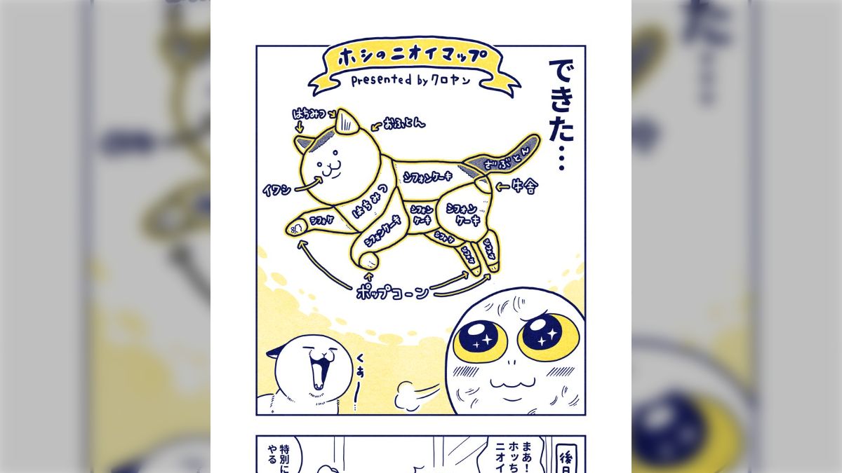 猫好きどうかしてる会の皆様。匂い表です。お納めください」ニオイ