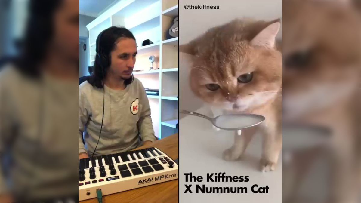 猫ちゃんのにゃごにゃごした声とみんな知ってるあの曲の
