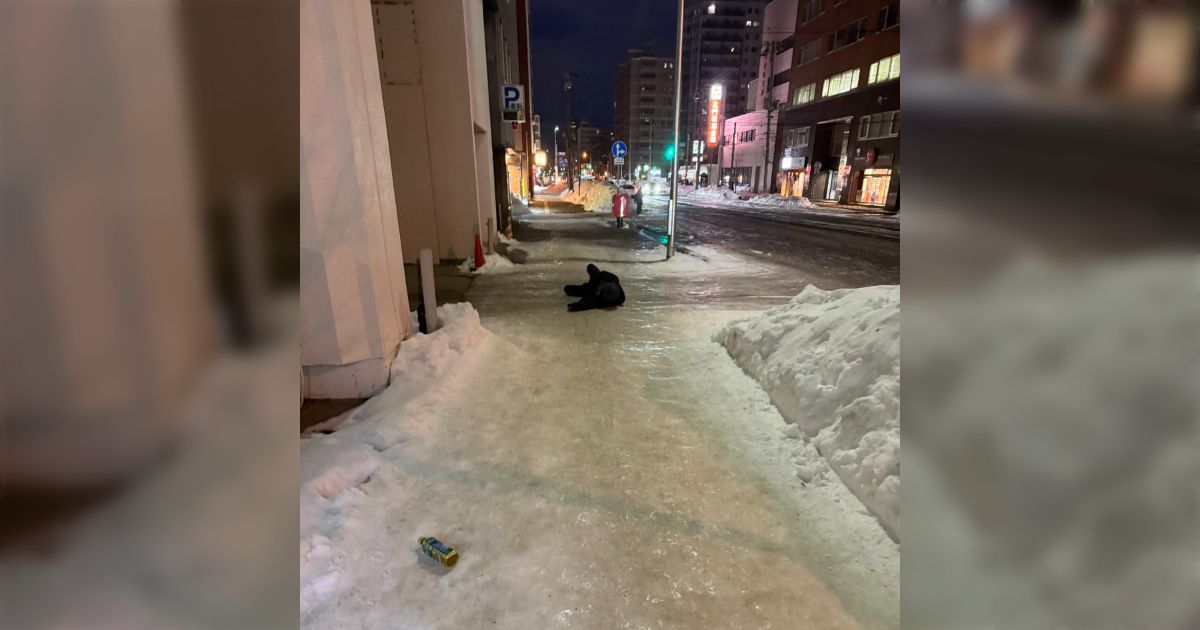 これは北海道に住んでいる友達が『道民はペンギン走りするから転けないよ』って言った直後の写真「なにこのこの世の終わりみたいな地面」