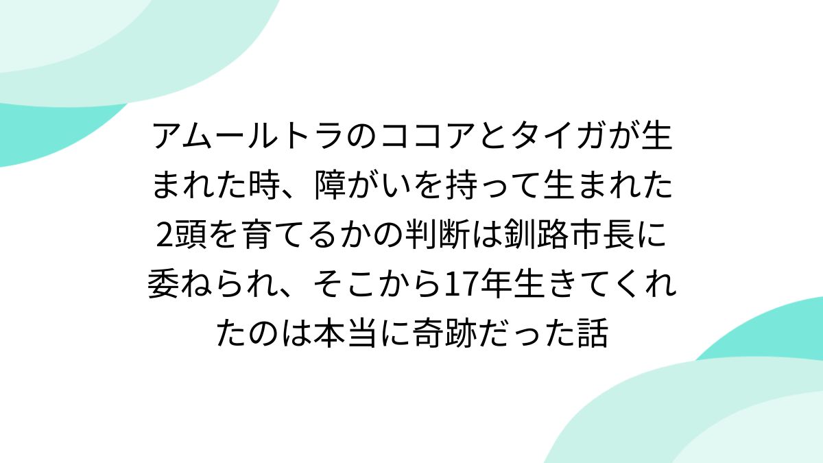 アムールトラのココアとタイガが生まれた時、障がいを持って