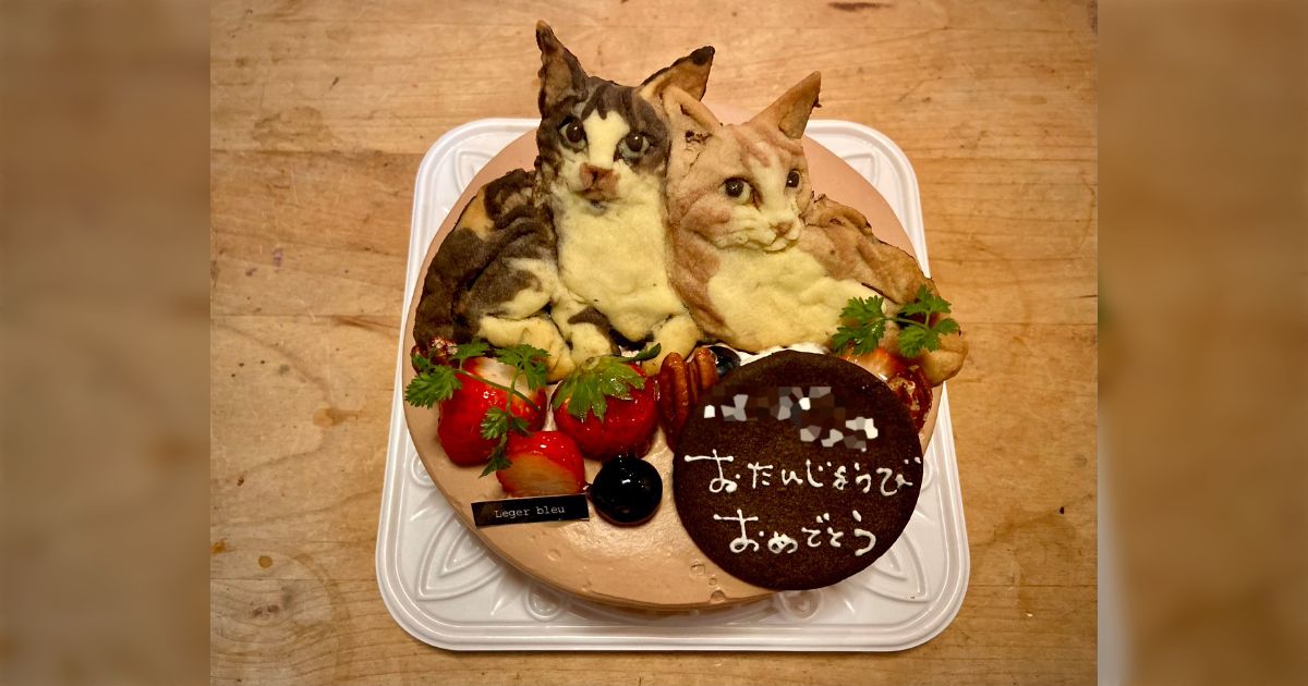 ケーキ屋に飼い猫のオーダーケーキを注文したら再現度が高すぎて驚き、これは食べるの躊躇するレベル