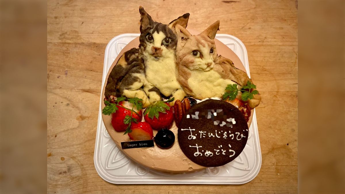 ケーキ屋に飼い猫のオーダーケーキを注文したら再現度が高すぎて驚き 