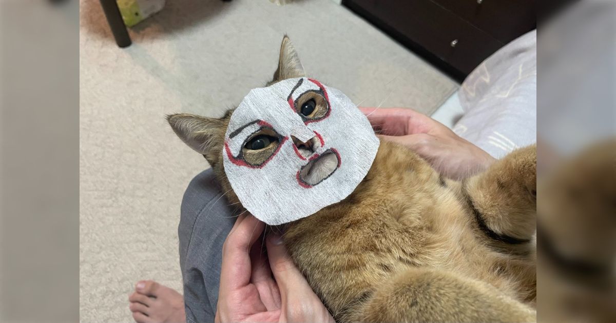 6c554c8422b540213ac5a784fdc712